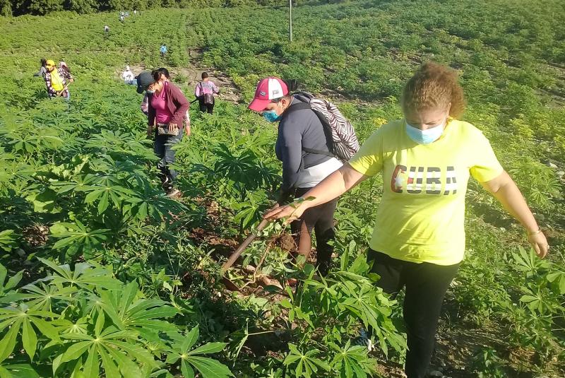 sancti spiritus, 26 de julio, asalto al cuartel moncada, trabajo voluntario, jovenes espirituanos