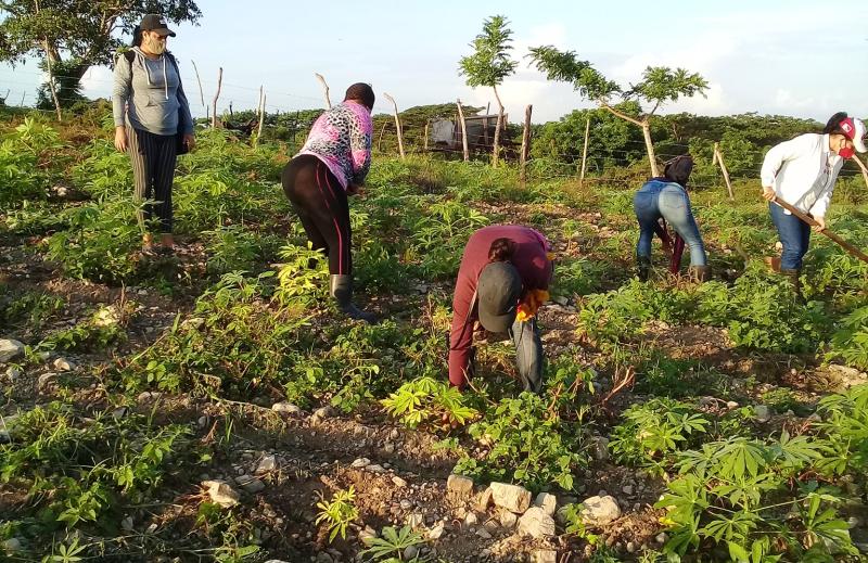 sancti spiritus, 26 de julio, asalto al cuartel moncada, trabajo voluntario, jovenes espirituanos