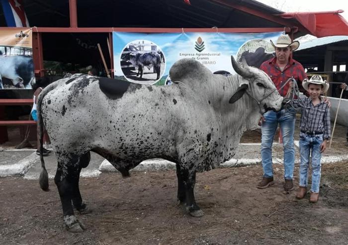 sancti spiritus, agricultura, agricultura espirituana