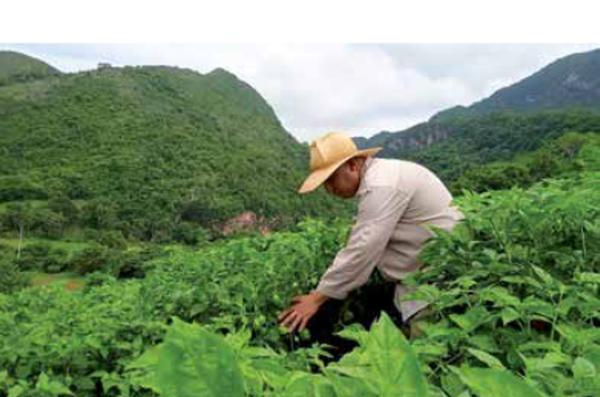 sancti spiritus, ajies, exportaciones, ccs, banao, economia cubana