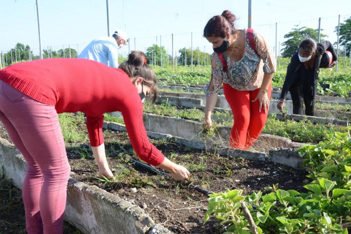 sancti spiritus, 26 de julio, asalto al cuartel moncada, trabajo voluntario, jovenes espirituanos