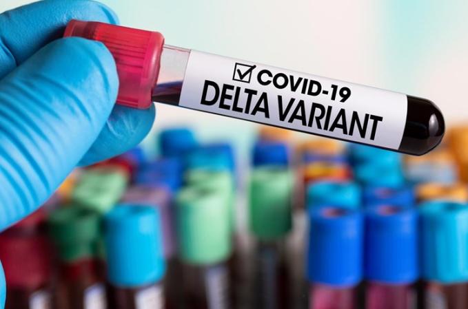 variante delta, coronavirus, covid-19