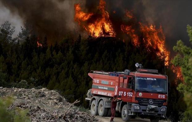 cuba, turquia, incendios forestales, bruno rodriguez