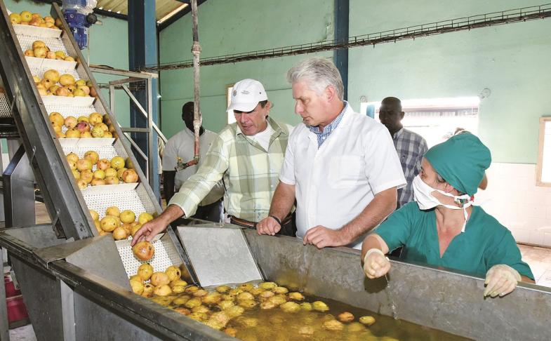 La Empresa Agroindustrial de Granos Sur del Jíbaro se ha fortalecido con la participación de todas las fuerzas productivas y actores económicos.