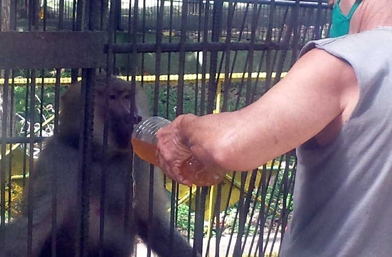 sancti spiritus, zoologico, zoologico de sancti spiritus, recreacion