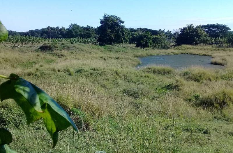 sancti spiritus, agricultura, yacimientos minerales, citma, tierra en usufructo