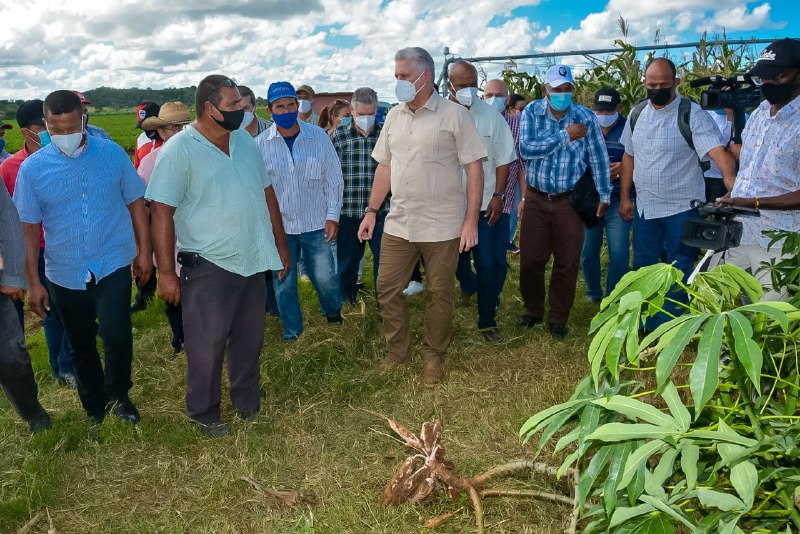 holguin, miguel diaz-canel, alimentos, produccion de alimentos