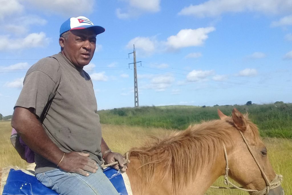 “En el lote La Redonda casi había más palo blanco que caña, y todavía queda bastante”, declara Felipe Batista.