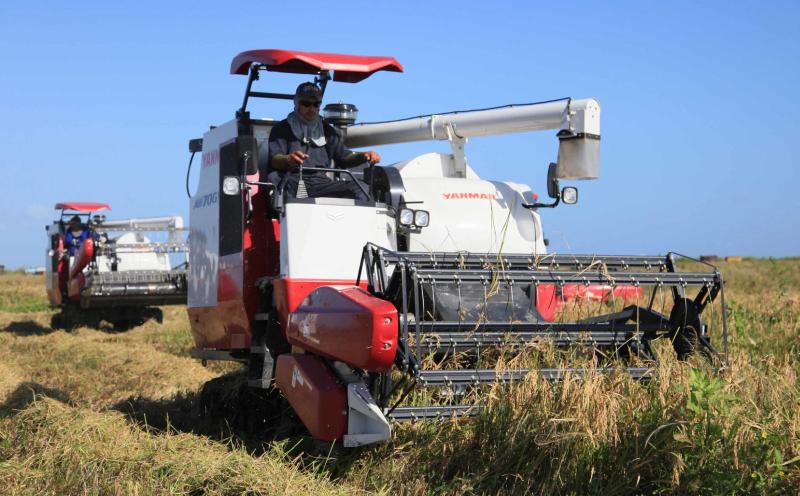 sancti spiritus, empresa agroindustrial de granos sur del jibaro, arroz, economia espirituana, exportaciones