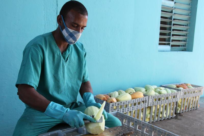 sancti spiritus, empresa agroindustrial de granos sur del jibaro, arroz, economia espirituana, exportaciones