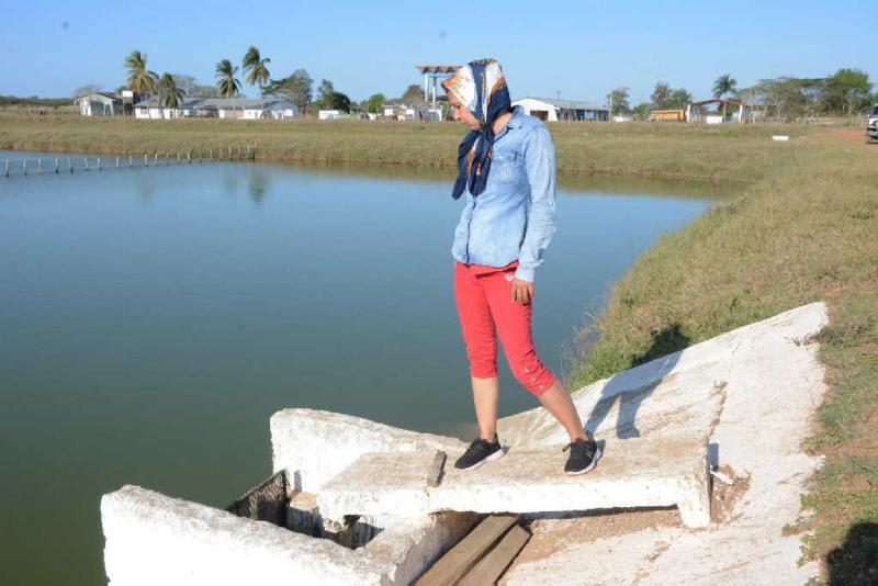 sancti spiritus, 8 de marzo, fmc, estacion de alevinaje, la sierpe, acuicultura