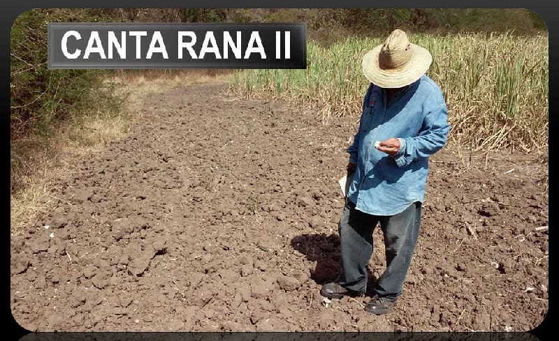 sancti spiritus, hallazgos, hallazgo arqueologico, oficina del conservador, canta rana