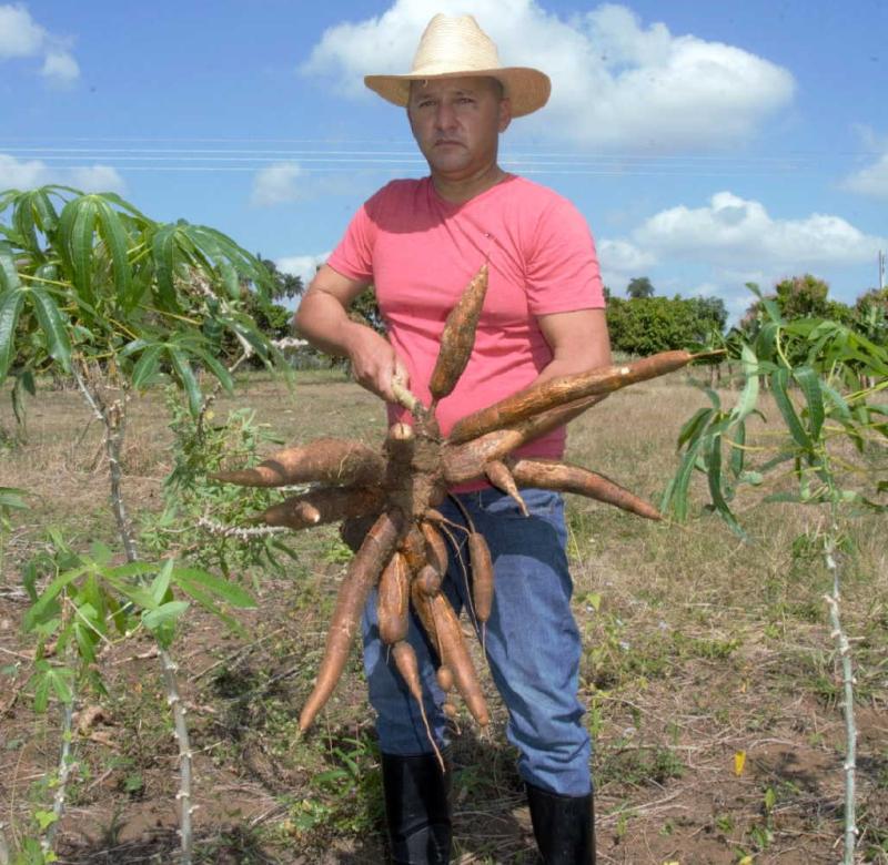 sancti spiritua, asamblea provincial del pcc, produccion de alimentos, partido comunista de cuba