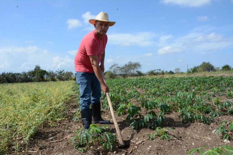 sancti spiritua, asamblea provincial del pcc, produccion de alimentos, partido comunista de cuba