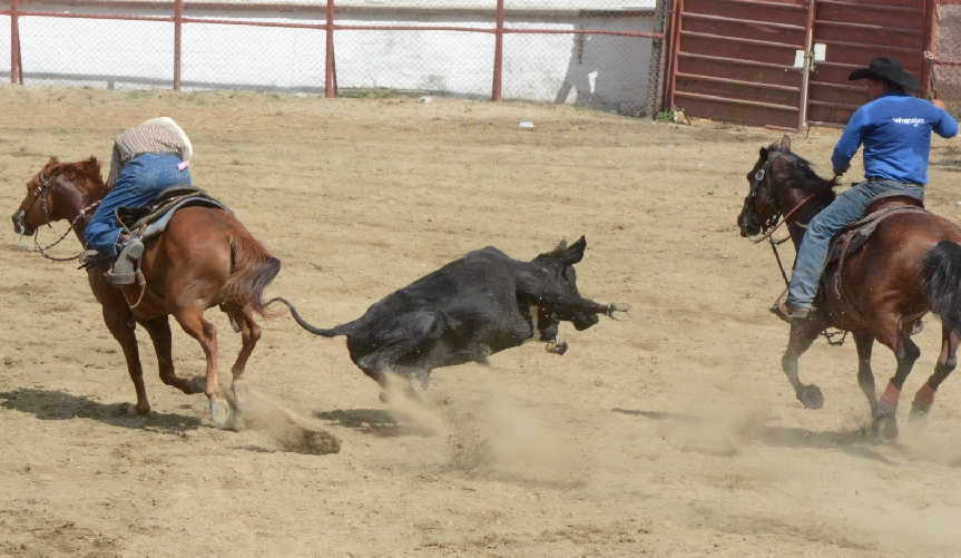 sancti spiritus, rodeo cubano, parque de ferias delio luna echemendia