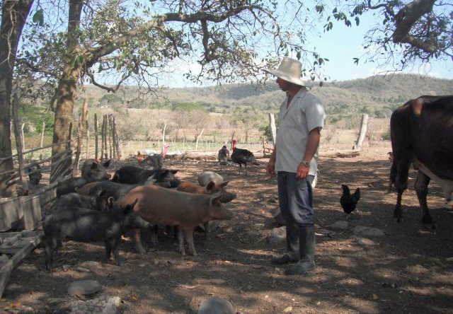 sancti spiritus, 4 de abril, union de jovenes comunistas, coronavirus, covid-19, jovenes cubanos