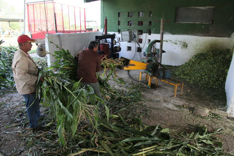 sancti spiritus, dia del campesino, campesinos, empresa pecuaria managuaco, produccion de alimentos