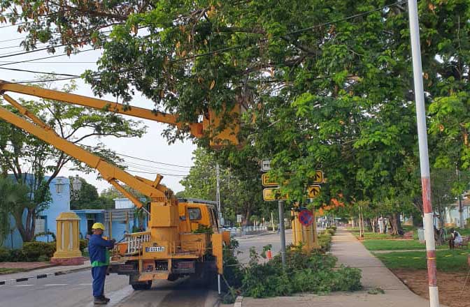 Los eléctricos de Trinidad trabajaron en la poda de árboles que inciden sobre los tendidos.