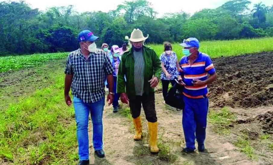 taguasco, comite municipal del partido, pcc, partido comunista de cuba