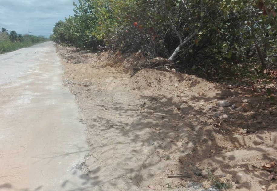 trinidad, peninsula de ancon, citma, tarea vida