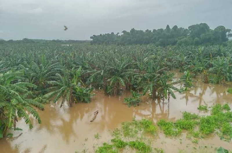 sancti spiritus, trinidad, intensas lluvias en sancti spiritus, lluvias en sancti spiritus, agricultura sancti spiritus