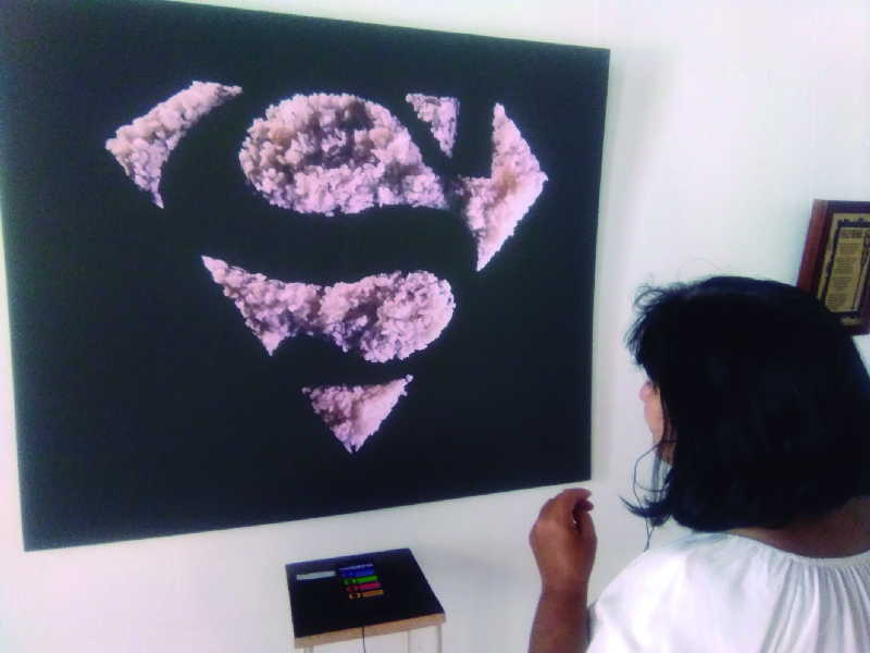 La instalación interactiva Temperamentum fue una
de las tres piezas que le dio el Premio del XXXV Salón Oscar
Fernández Morera. (Foto: Lisandra Gómez Guerra)