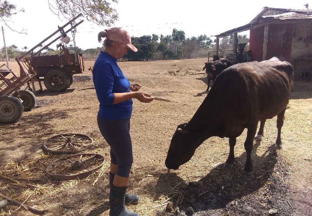 “A los animales hay que pasarles la mano, hay que mirarlos todos los días”, refiere la fémina de 51 años de edad. 