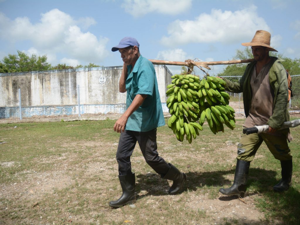 Para los campesinos de La Güira termina la agonía de agenciarse a como fuera, un poco de agua cada día, pues desde el tanque (segundo plano) llegará diariamente el preciado líquido a sus hogares.