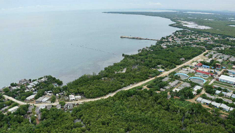 sancti spiritus, fotografia, medio ambiente, biologia, mares