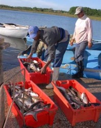Pesquería inteligente asegura recuperación acuícola de la Zaza.