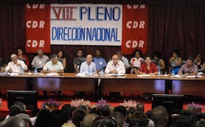 VIII Pleno de los CDR.