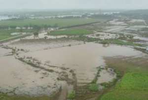 De las pérdidas provocadas en la rama agrícola por las lluvias, solo el 25 por ciento tiene el respaldo del Seguro. (foto: Vicente Brito)
