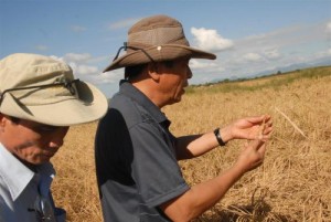 Los asesores vietnamitas reconocen el potencial del país y en particular de la región para el cultivo del arroz.