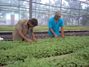 La ACTAF aboga por aumentar los rendimientos agrícolas y el cumplimiento de las normas técnicas de cada cultivo.