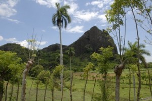 La nueva ley tributaria incluye varios impuestos con un fin regulador para el uso y conservación del medio ambiente.