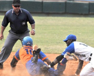 Gallos y Leones volverán a jugar este domingo.