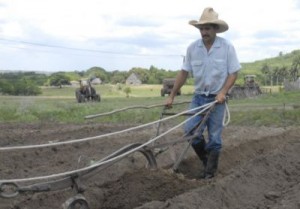 La diversidad productiva distingue el quehacer de los campesinos de la zona.