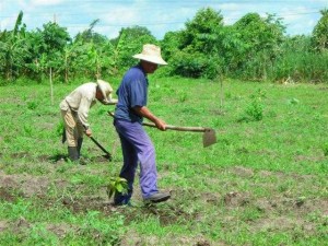 La auditoría detectó dificultades en el uso y control de la tierra.