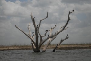 sancti spiritus, presa zaza, recursos hidraulicos, sequia