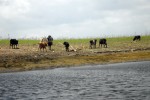 sancti spiritus, presa zaza, recursos hidraulicos, sequia