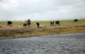 sancti spiritus, presa zaza, recursos hidraulicos, sequia