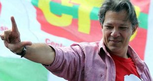 brasil, elecciones en brasil, fernando haddad, jair bolsonaro