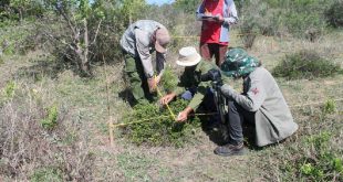 trinidad, ecosistema, salud, flora y fauna, jardín botánico