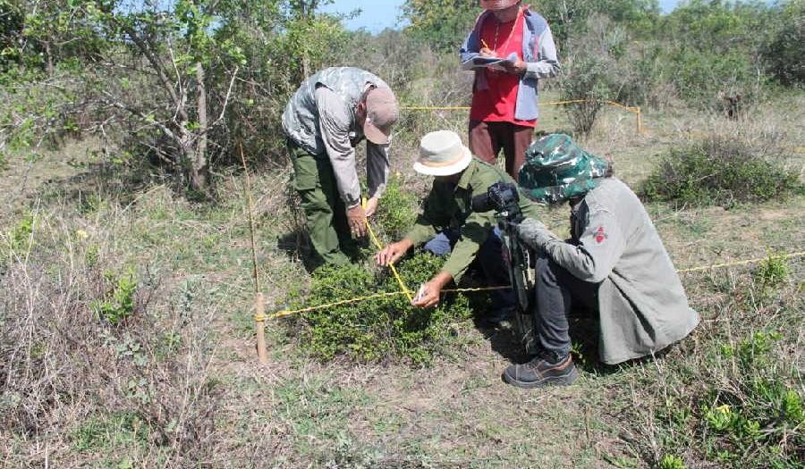 trinidad, ecosistema, salud, flora y fauna, jardín botánico