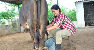 sancti spiritus, federacion de mujeres cubanas, fmc