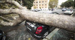 italia, desastres naturales, lluvia, muertes