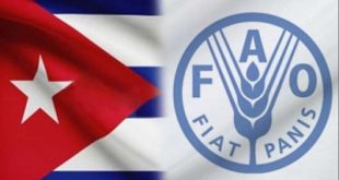 FAO, Cuba, hambre, seguridad alimentaria