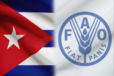 FAO, Cuba, hambre, seguridad alimentaria