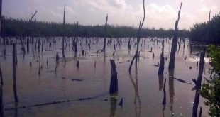 Sancti spiritus, parque nacional zaguanes, tarea vida, medio ambiente, citma, cuenca rio zaza