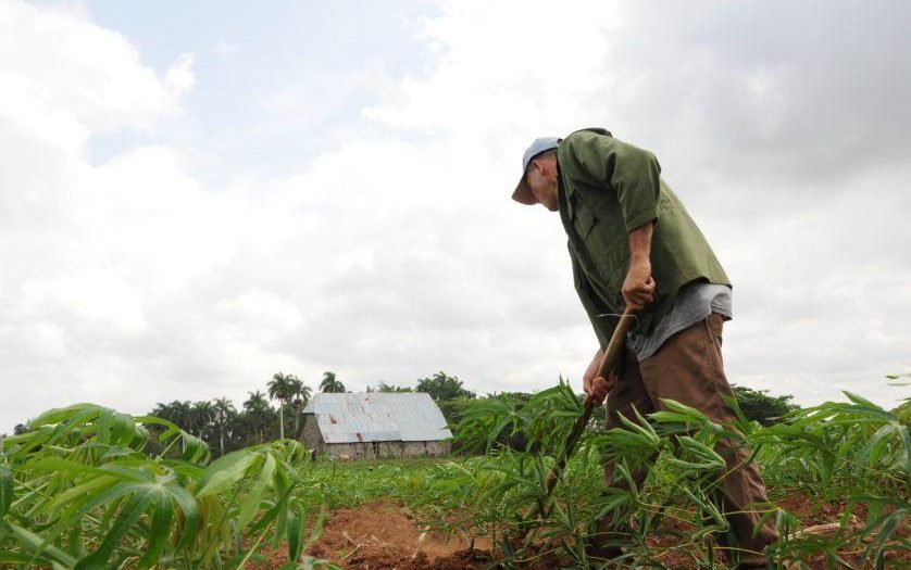 sancti spiritus, cooperativas, ley tributaria, agricultura